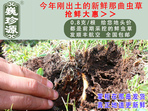 rxĲ շb 0.8/r(ji)80Ԫ/