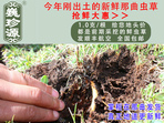 rxĲ շb 1/r(ji)100Ԫ/