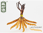 xĲ2.2l/ ڲ x؛r(ji)286Ԫ/