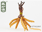 xĲ2l/ ڲ x؛r(ji)306Ԫ/