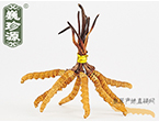 x(chng)Ĳ2.5l/ ڲ x؛r(ji)252Ԫ/